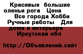 Красивые  большие оленьи рога › Цена ­ 3 000 - Все города Хобби. Ручные работы » Для дома и интерьера   . Иркутская обл.